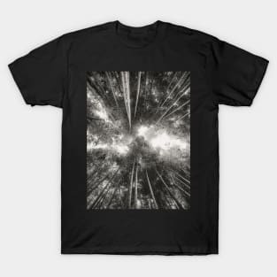 Bamboo Forest (black and white) T-Shirt